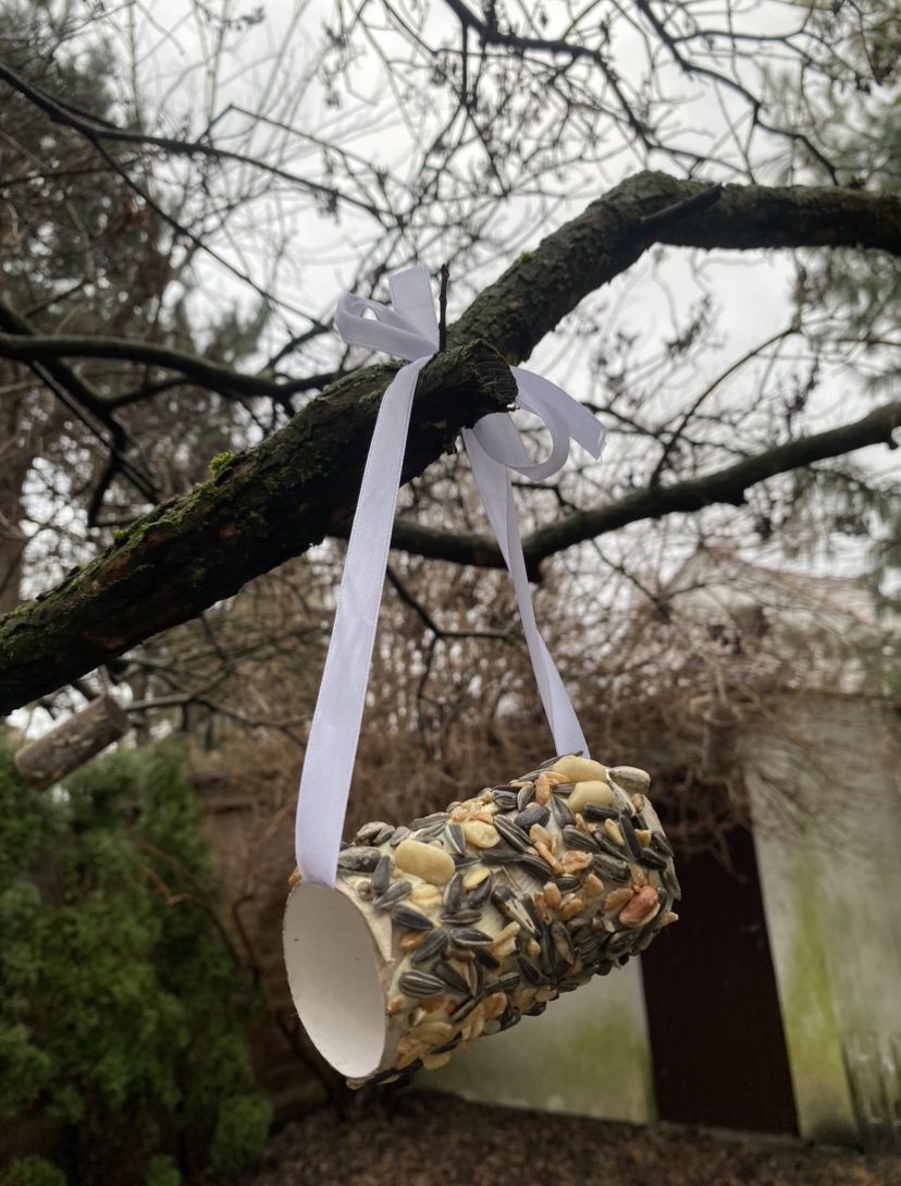 Naturalne materiały w edukacji dziecięcej i podczas animacji.